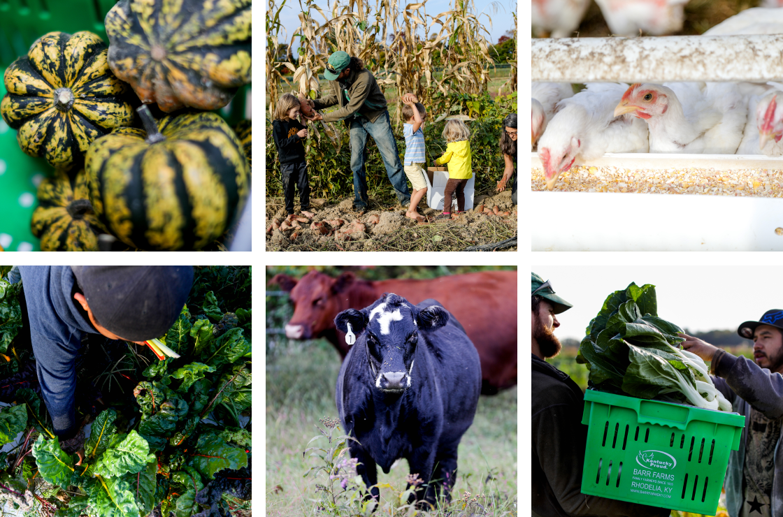 About Barr Farms Organic farms near me